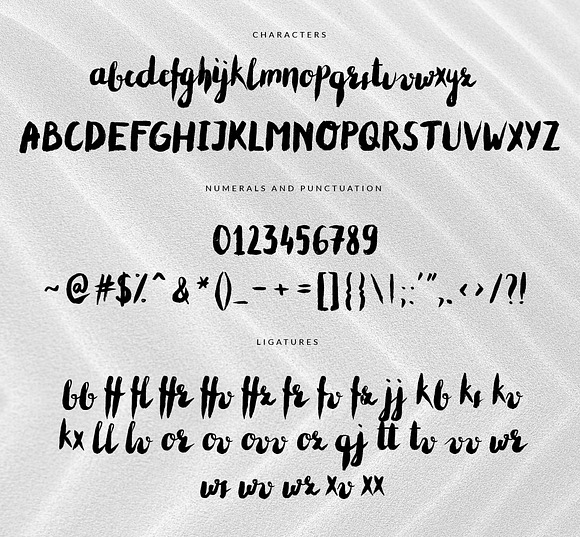 Cheeky--handwritten brush font+BONUS in Script Fonts - product preview 5