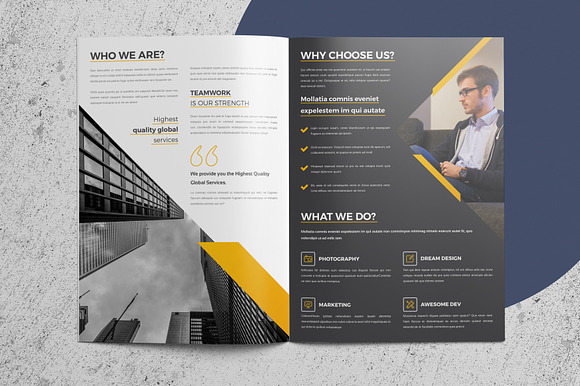 Corporate/Company Brochure - 4 Page in Brochure Templates - product preview 4