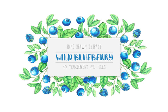 Wild Blueberry Font Duo in Script Fonts - product preview 1