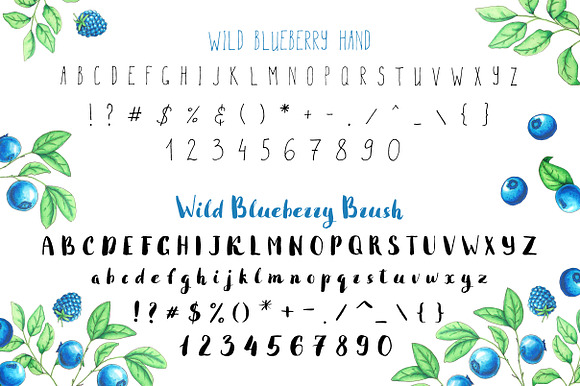 Wild Blueberry Font Duo in Script Fonts - product preview 3