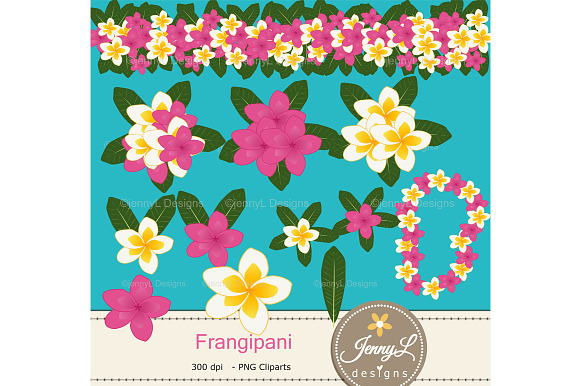 Frangipani Digital Paper & Clipart in Patterns - product preview 1