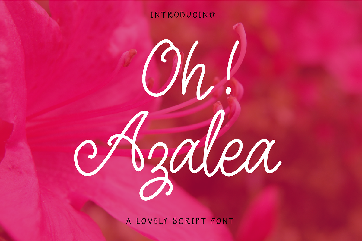 Oh Azalea Script Font  in Script Fonts - product preview 8
