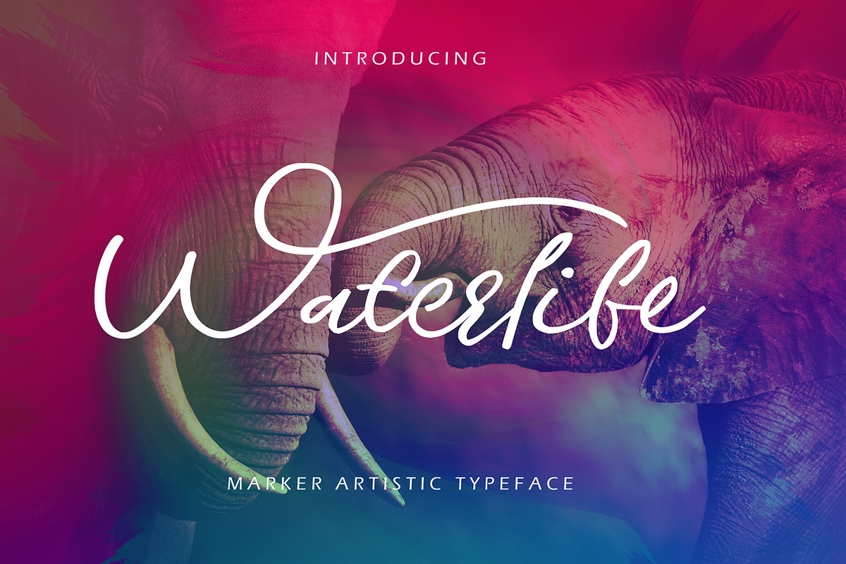 Waterlife in Script Fonts - product preview 8