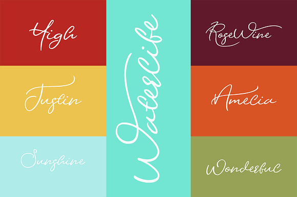 Waterlife in Script Fonts - product preview 6