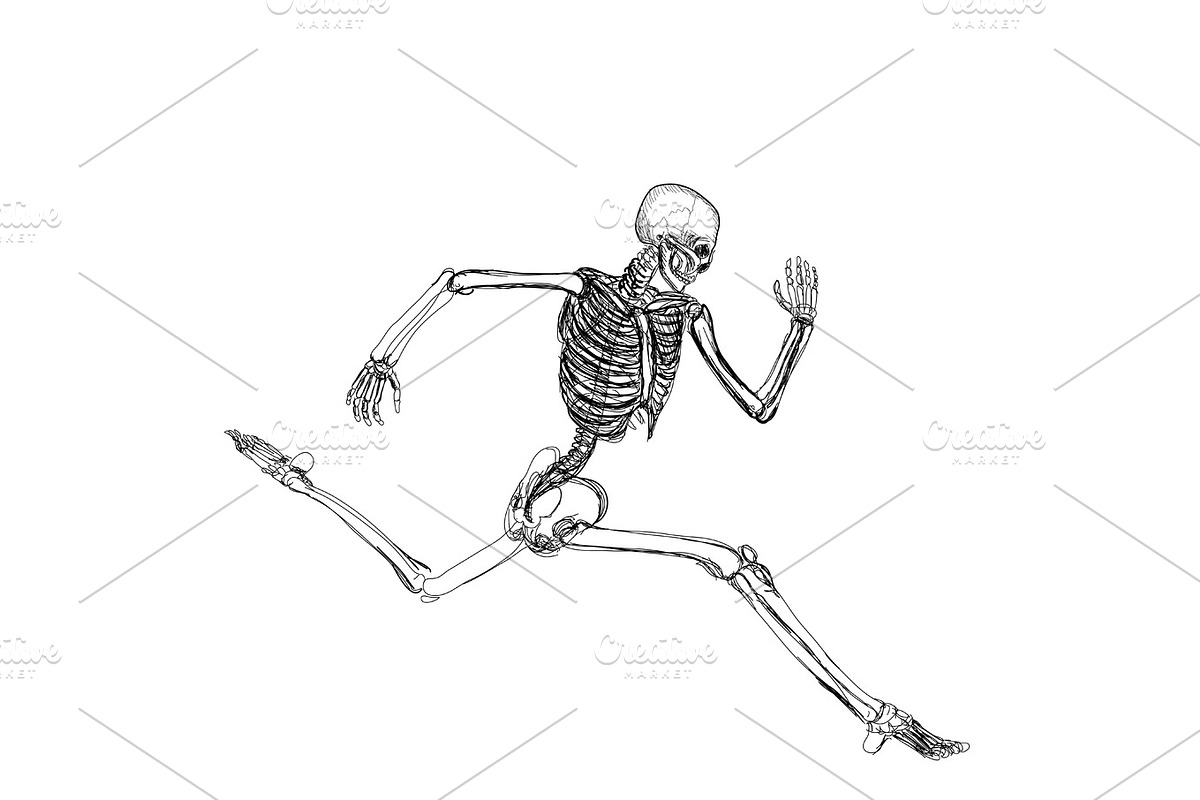Human skeleton running in Illustrations - product preview 8