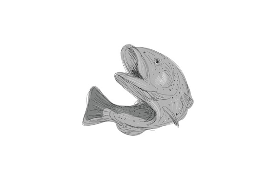 Cutthroat Trout Jumping Drawing in Illustrations - product preview 8