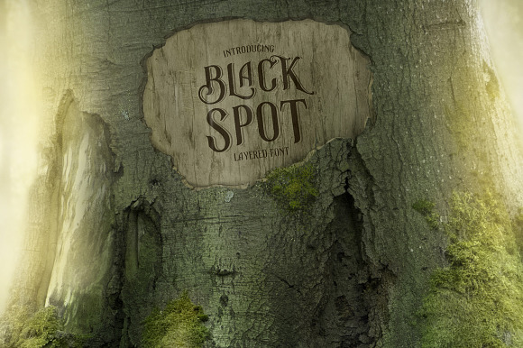 Black Spot Vintage Decorative Font in Display Fonts - product preview 5