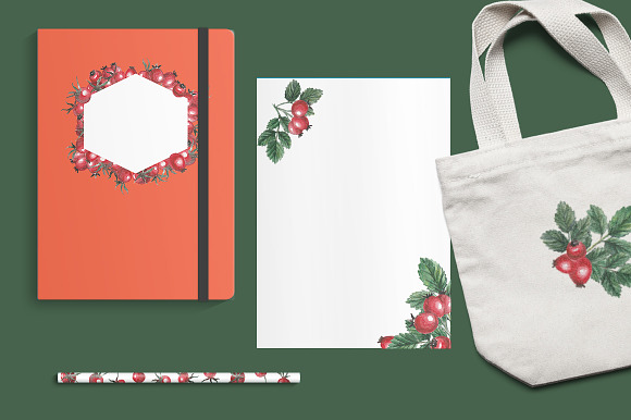 Fruits of rosehip set in Objects - product preview 2
