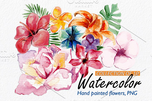 10 Watercolor Floral Elements