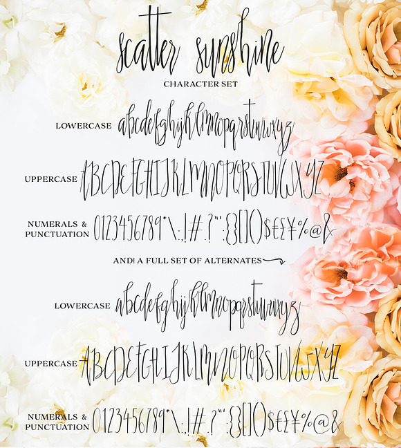 Scatter Sunshine Typeface in Script Fonts - product preview 1