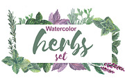 Watercolor herbs set