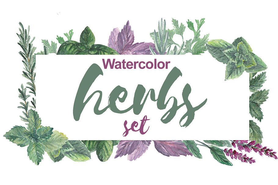 Watercolor herbs set in Illustrations - product preview 8
