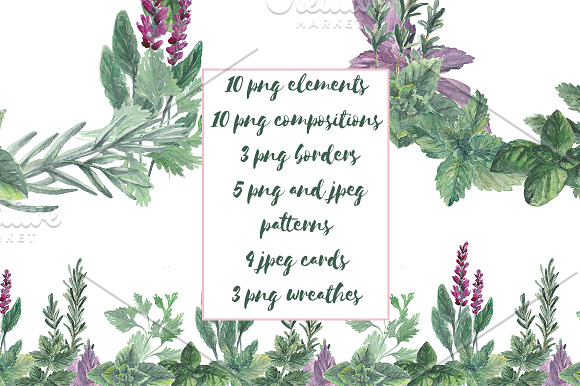 Watercolor herbs set in Illustrations - product preview 1