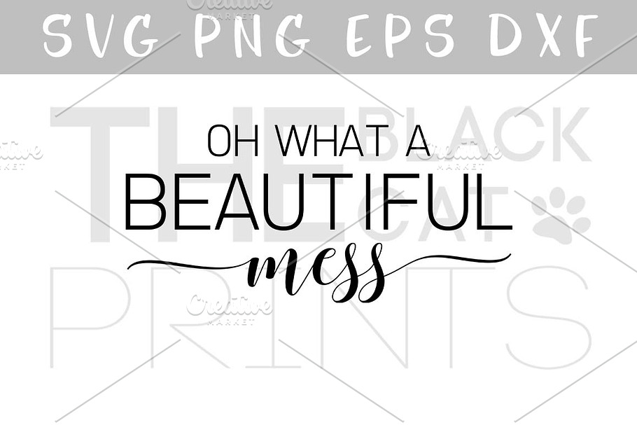 Oh what a beautiful mess SVG PNG EPS in Illustrations - product preview 8