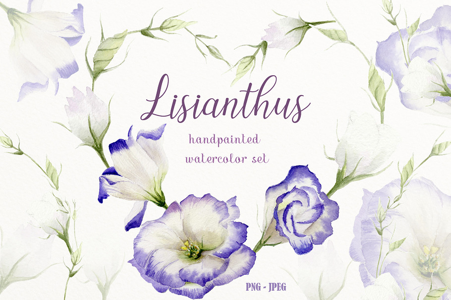 Lisianthus watercolor set