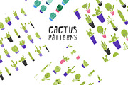 Cactus patterns