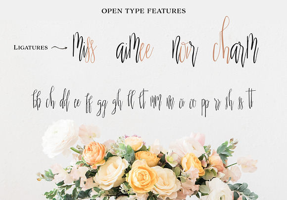 Scatter Sunshine Typeface in Script Fonts - product preview 5