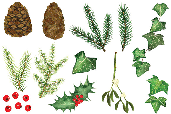 Watercolour Winter Foliage in Illustrations - product preview 1