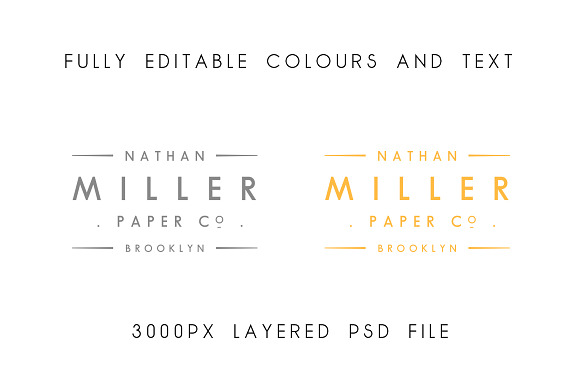 Vintage Logo PSD Template in Logo Templates - product preview 1