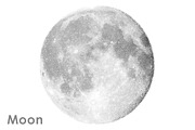 Moon vector set.