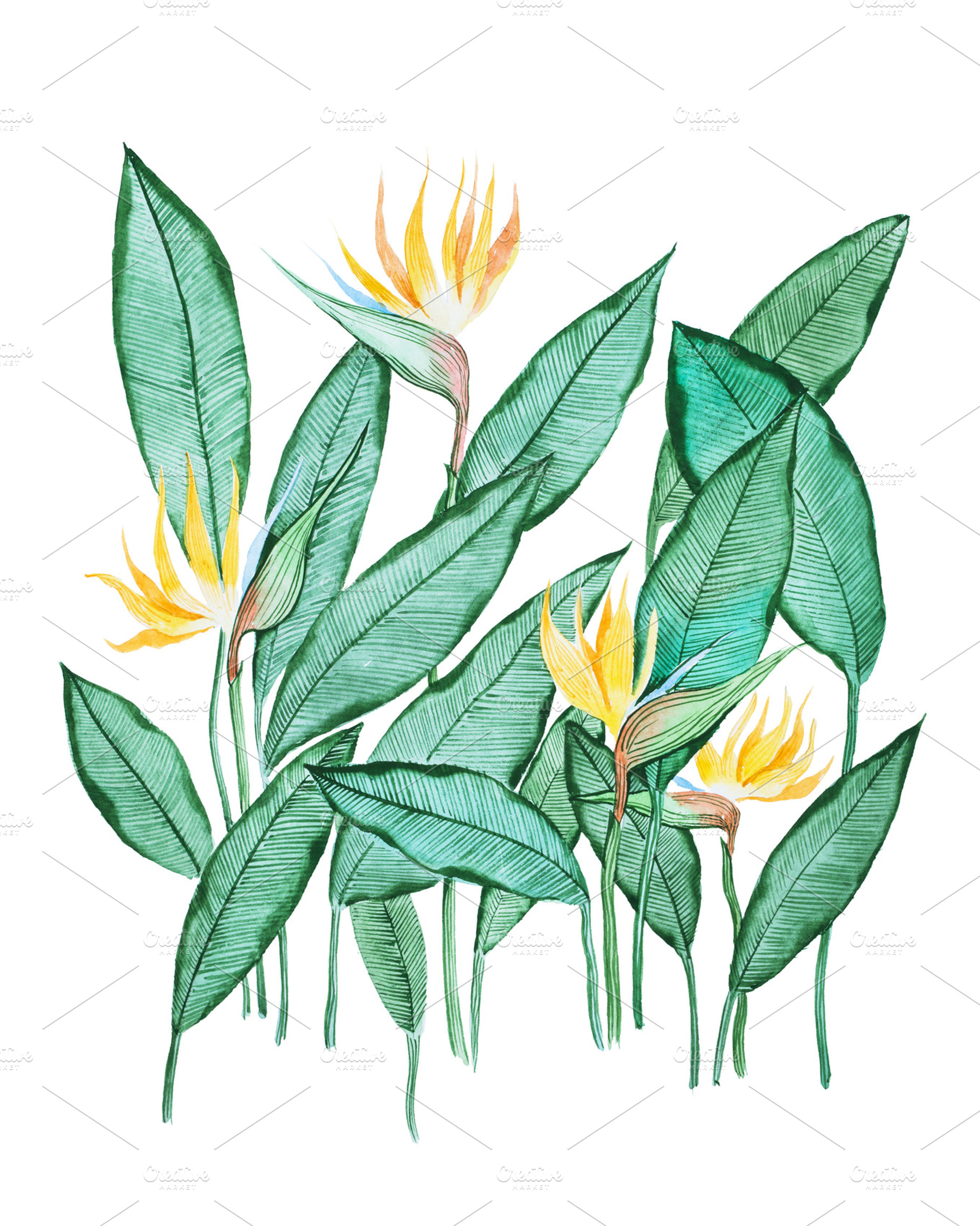 Hand-drawn aquarelle painting of green leaves with small yellow ...