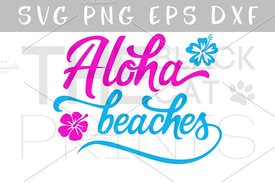 Aloha beaches SVG PNG EPS in Illustrations - product preview 8