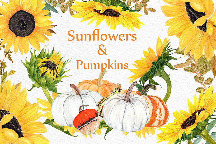 Watercolor Sunflower clipart in Illustrations - product preview 8