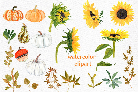 Watercolor Sunflower clipart in Illustrations - product preview 3