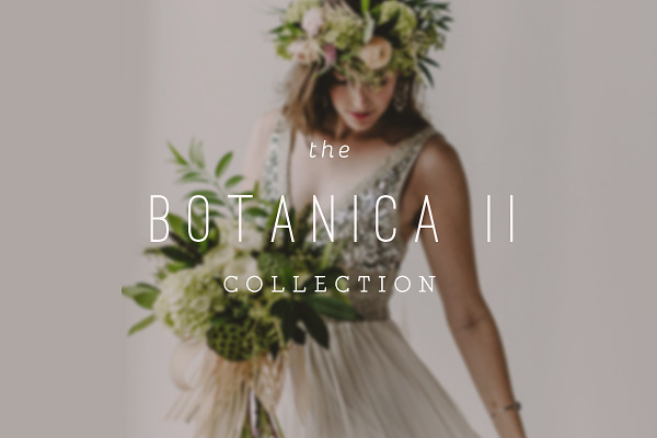Botanica II ProPhoto 6 Collection