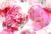 roses and peonies seamless | JPEG