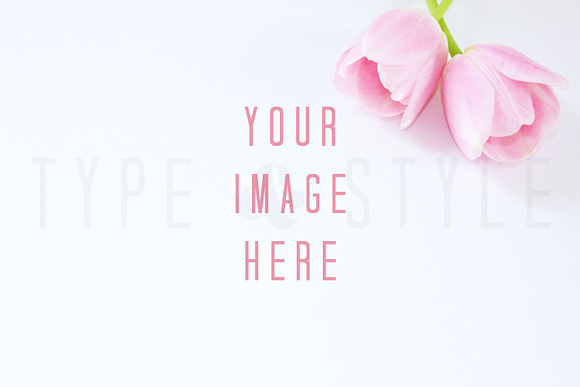 Styled Stock Photo Tulip Bundle in Product Mockups - product preview 1