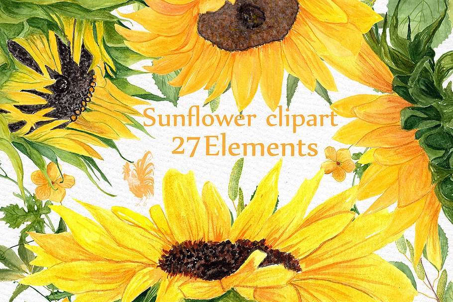 Sunflower Watercolor clipart