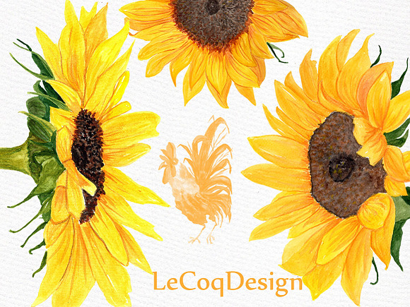 Sunflower Watercolor clipart in Illustrations - product preview 4