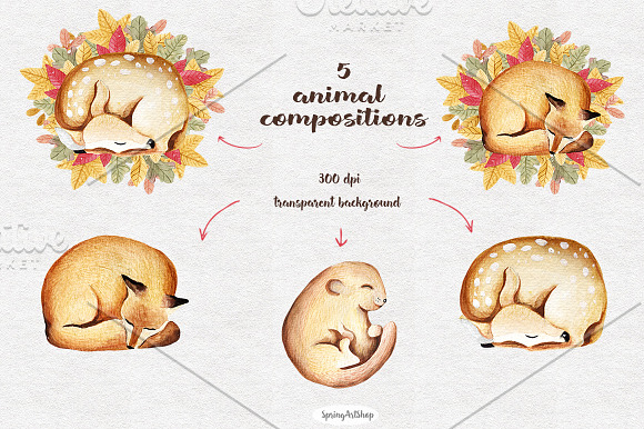 Big autumn set Forest animals in Illustrations - product preview 2