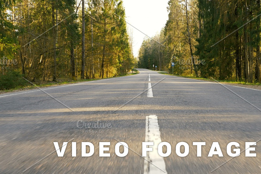 Road between forest - flying camera shot in Graphics - product preview 8