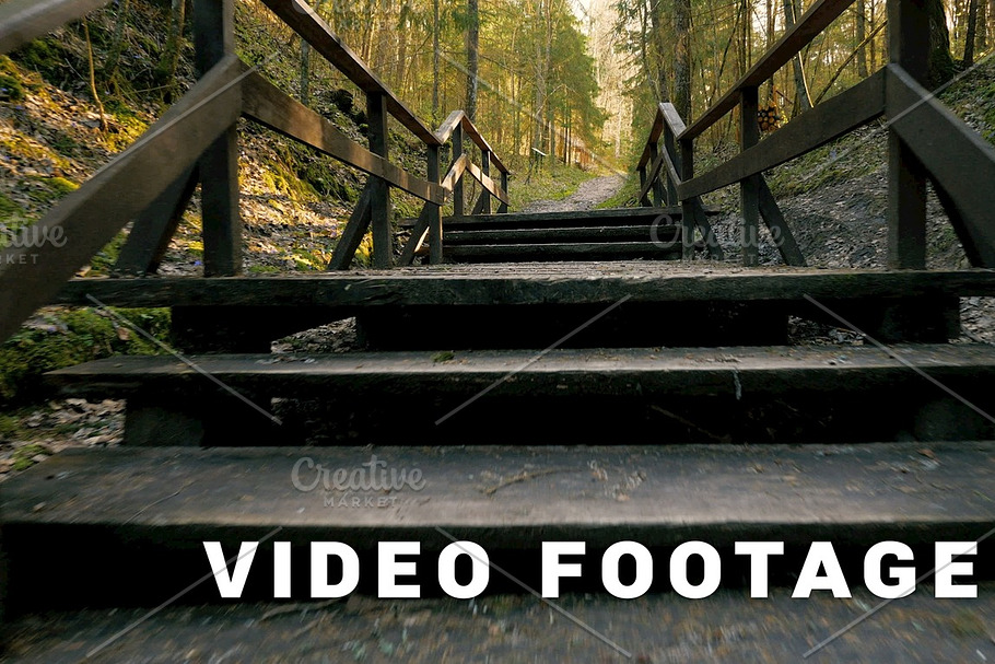 Road in the forest - flying camera shot in Graphics - product preview 8