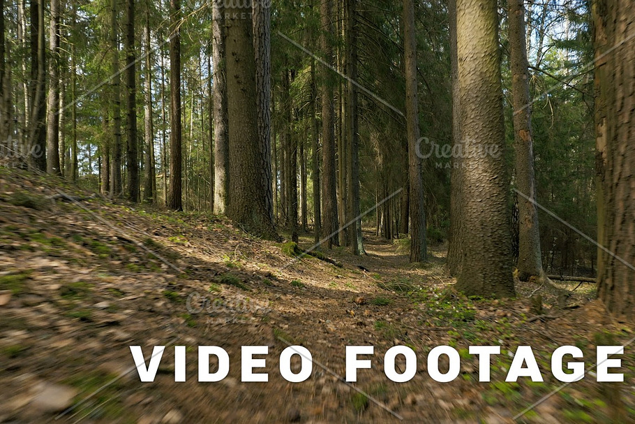 Pathway in the forest - flying camera shot
