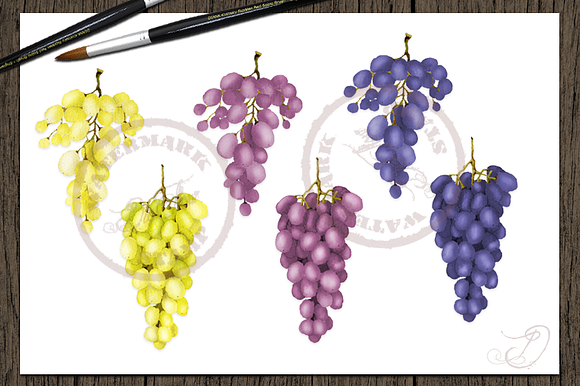 Grape Watercolor Clip Art in Illustrations - product preview 3