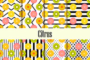 Citrus seamless pattern set