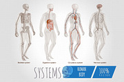 Systems Human Body Anatomy set