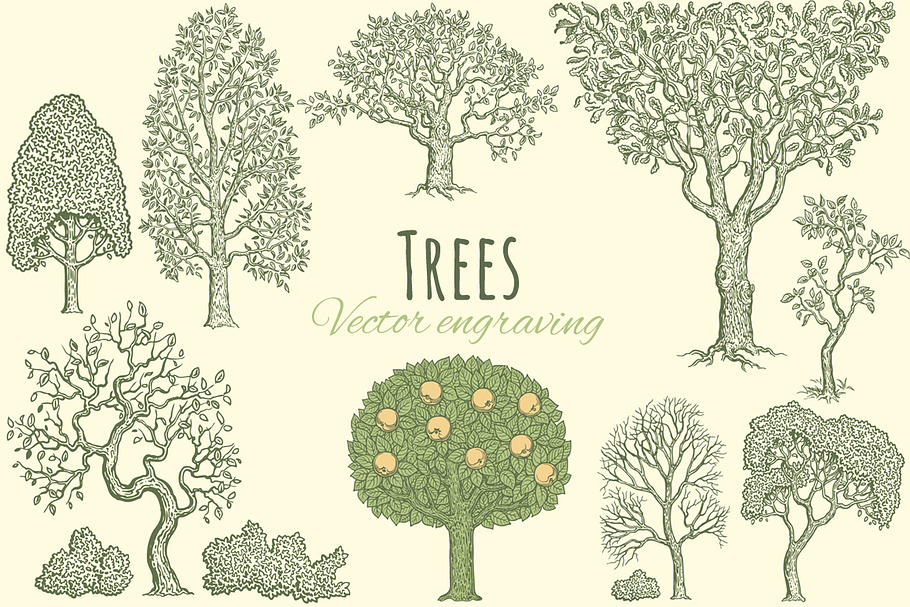 Set Trees. Vector engraving.