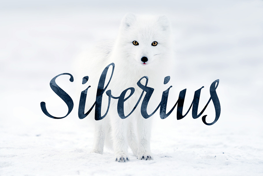 Siberius Clean Script Typeface