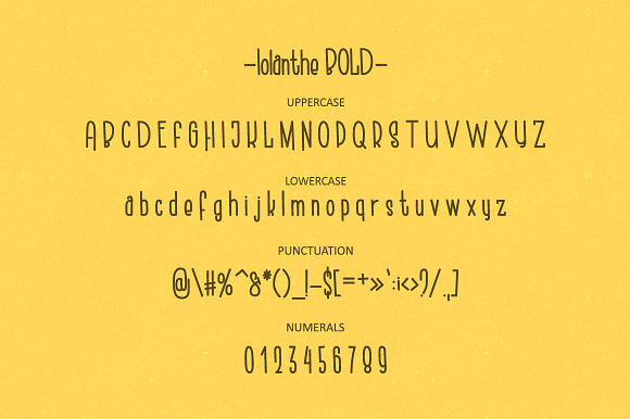Iolanthe. Retro Handwritten Font. in Sans-Serif Fonts - product preview 10