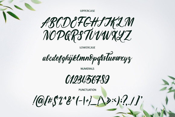 NEW! Soul Run Brush Font in Script Fonts - product preview 5