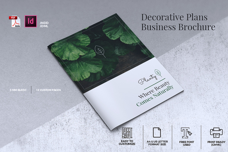 Decorative Plants Brochure A4