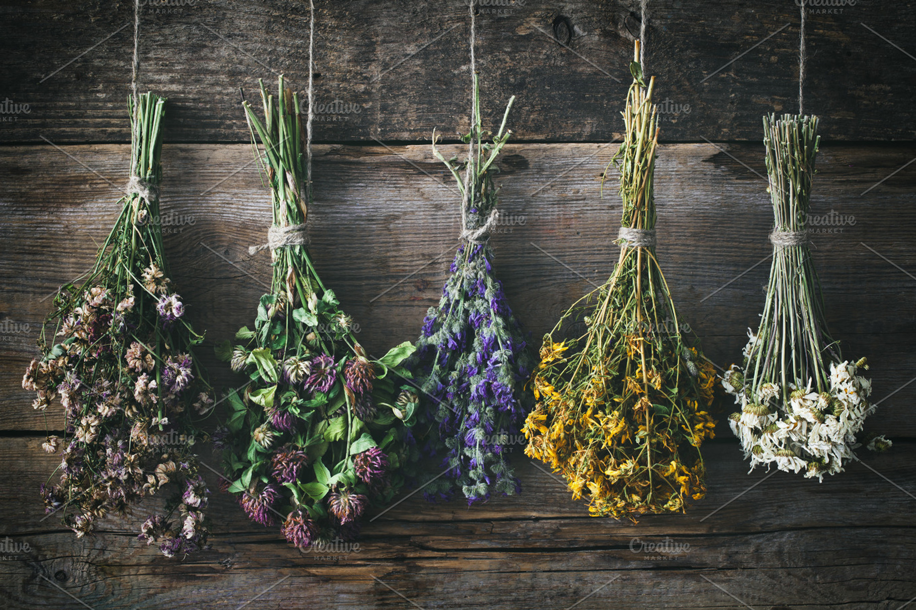 Hanging bunches of medicinal herbs | High-Quality Health Stock Photos