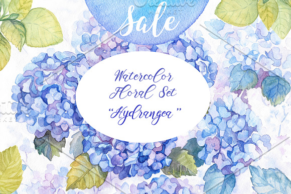 Hydrangea Watercolor Flowers in Illustrations - product preview 5