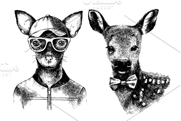 Hand drawn animals hipsters in Illustrations - product preview 1