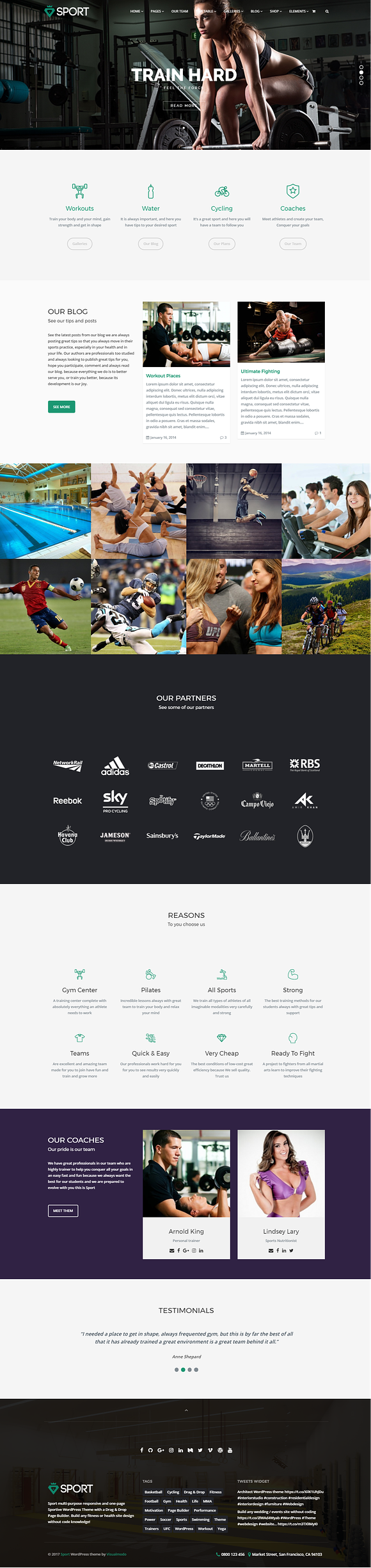 Sport WordPress Theme in WordPress Business Themes - product preview 3