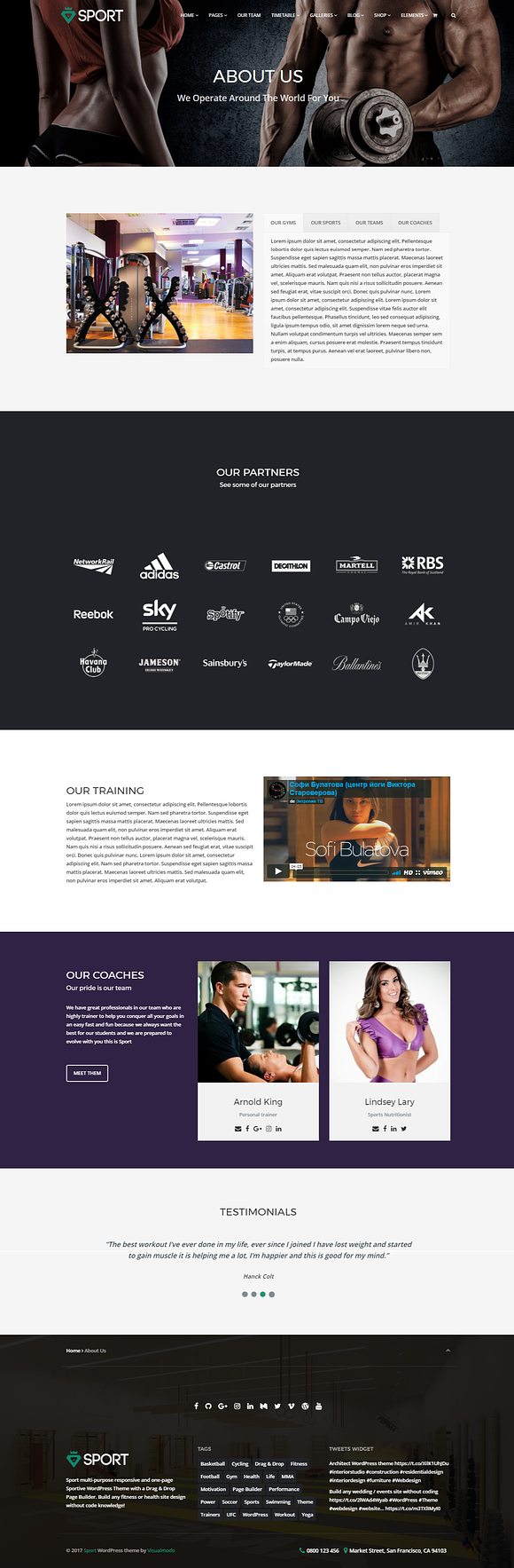 Sport WordPress Theme in WordPress Business Themes - product preview 5